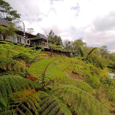 The Bejalin Eco Retreat Hotel Plaga Luaran gambar