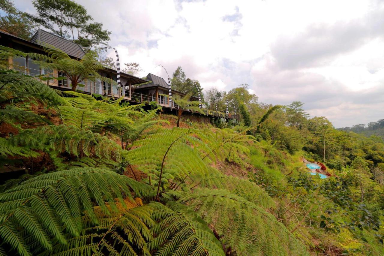 The Bejalin Eco Retreat Hotel Plaga Luaran gambar